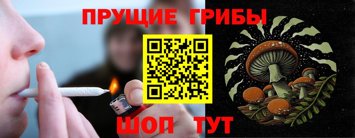 Псилоцибиновые грибы Cubensis Родники